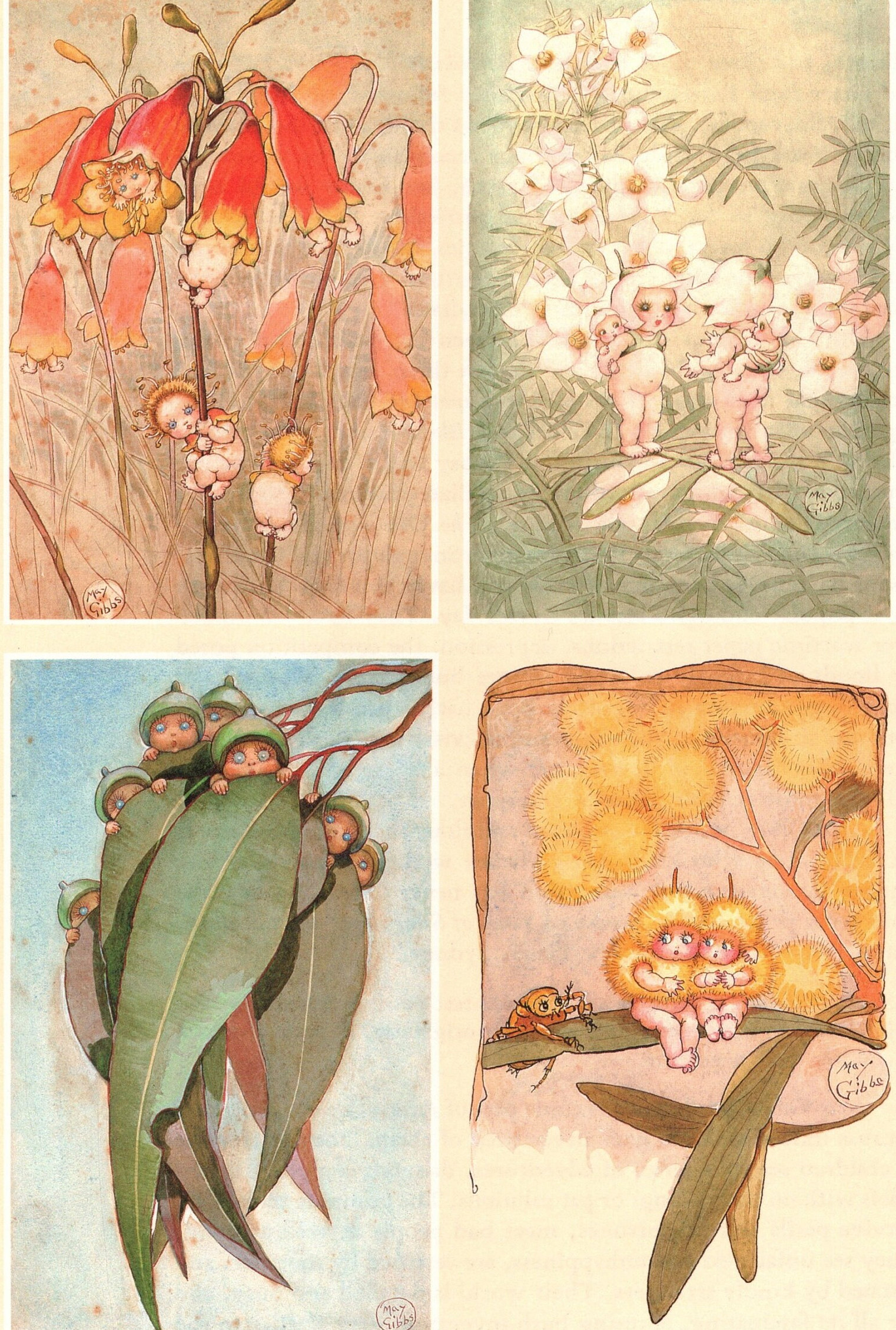 Impressão vintage original Gumnuts Bush Fairyland – Vida e obra de May Gibbs - Paisagens de contos de fadas - Fadas do mato - Fadas do mato - Presente exclusivo