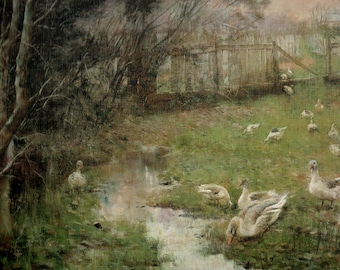 May include: A painting of a stream in a forest with a flock of white geese in the water and on the grassy banks.