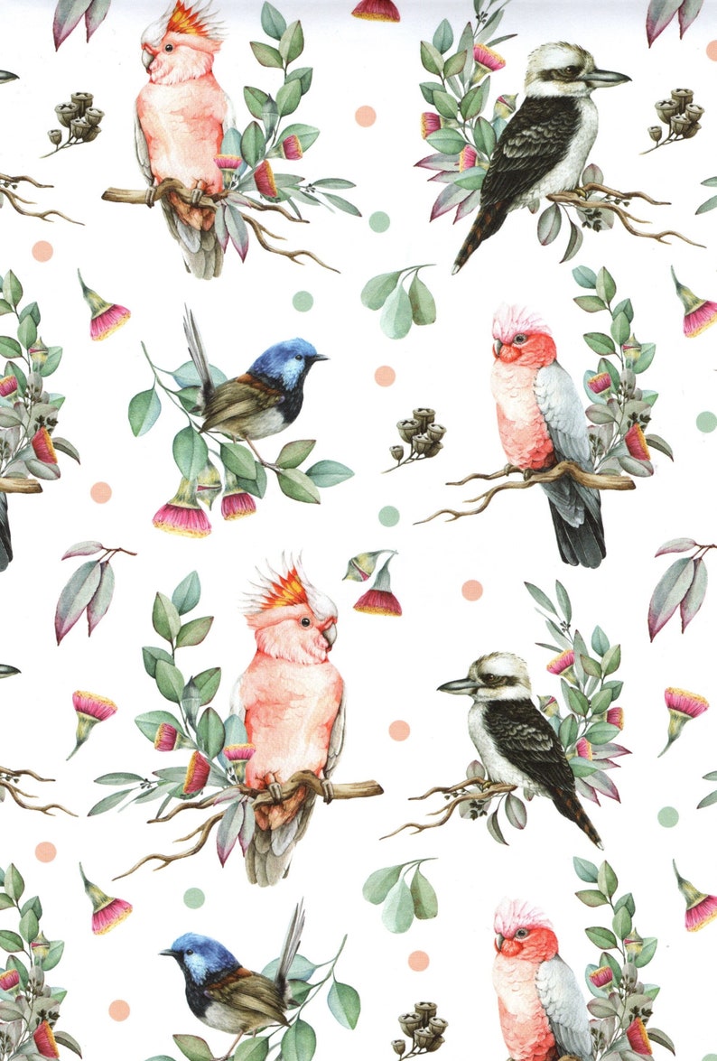 Australian Native Birds Wrapping Paper: Botanical Gift Wrap ...