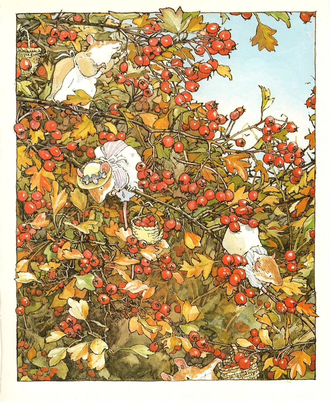 レア♪LAKELAND STUDIOS Brambly Hedge A collection of