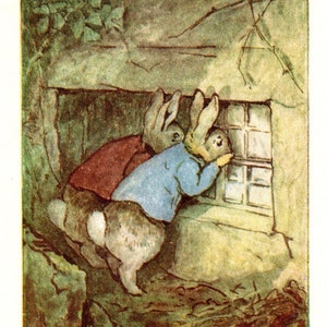 May include: A charming illustration depicts two rabbits looking through a window. One rabbit is dressed in a red jacket, the other in blue. The setting is a stone structure with green foliage, reminiscent of a children's story.