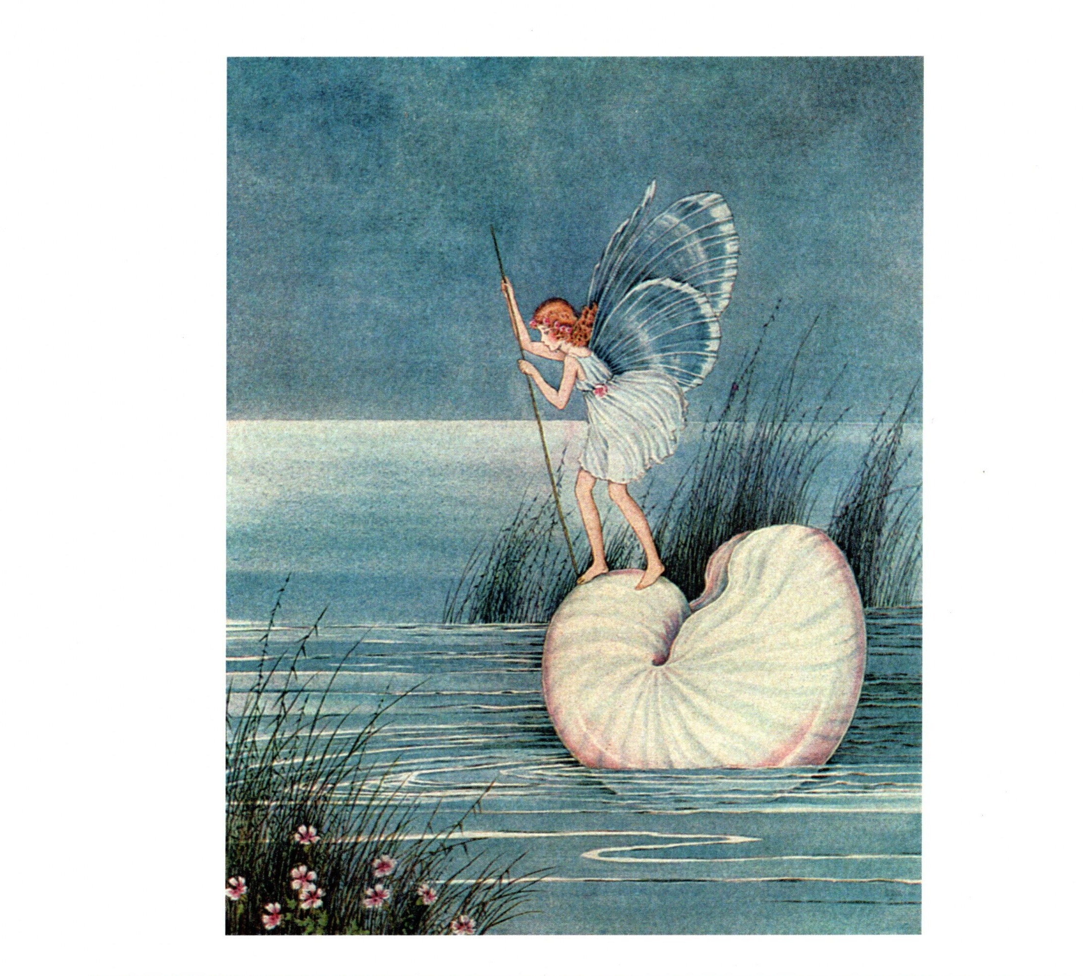 Vintage Fairy Print by Ida Rentoul Outhwaite: Archival