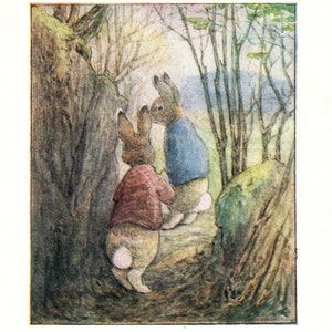 May include: Two brown rabbits with long ears are standing in a woodland. The rabbit on the left is wearing a red shirt and the rabbit on the right is wearing a blue shirt. The rabbits are looking at something in the distance.