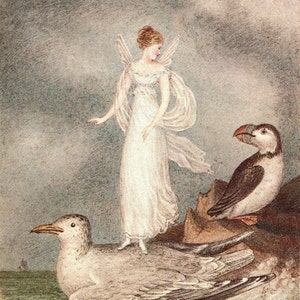 Victorian Fairies Original Print – Amelia Jane Murray - Regency Style Art – Flowers, Birds, Winged Insects - Natural History - Gift