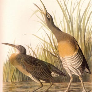 Puede incluir: Un juego de tres tazas de cerámica con un acabado moteado y mate. Las tazas son de color crema, gris claro y gris oscuro. Cada taza tiene un diseño simple y minimalista.