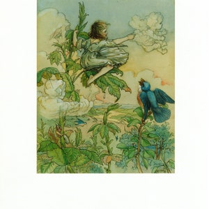 Victorian Fairy Art Original Vintage 2-sided Print Harold Gaze and ...