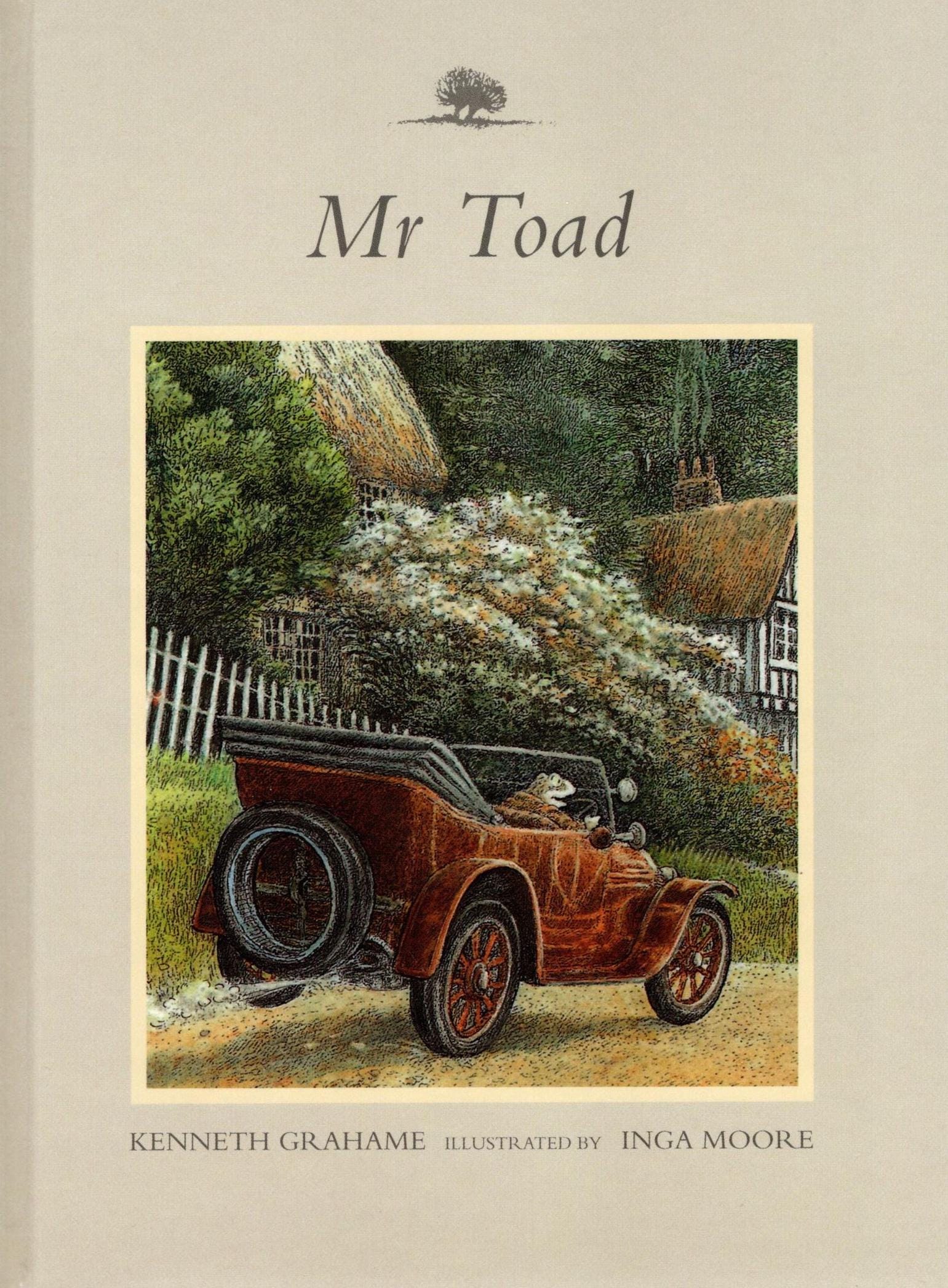 Wind in the Willows Vintage Book Cover: 'mr Toad' - Etsy