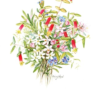 Può includere: Un dipinto ad acquerello di un mazzo di fiori con fiori rossi, rosa, bianchi e blu. I fiori sono disposti in uno stile sciolto e naturale, e il dipinto è firmato "Daisy Wood".