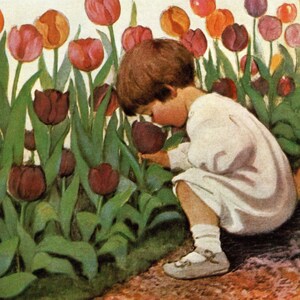May include: A young child in a white dress is smelling a bouquet of colorful tulips. The tulips are in shades of pink, red, and purple. The child is wearing a white dress and has brown hair.