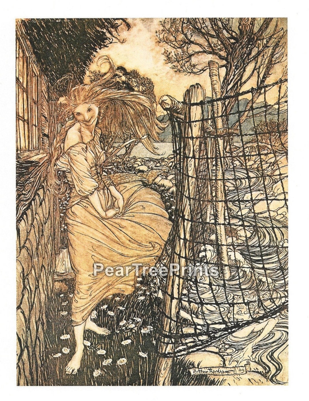 Arthur Rackham 1975 "undine" Vintage Print: Fairy Tale Illustration - Etsy