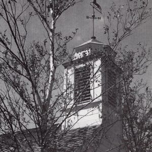 May include: Monochrome image of a church steeple topped with a horse weathervane. The steeple is square, with a small cupola and a pitched roof. Bare tree branches partially obscure the steeple against a cloudy sky.