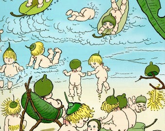 May Gibbs Gumnut Babies Vintage Print: Australian Bush Fairytale