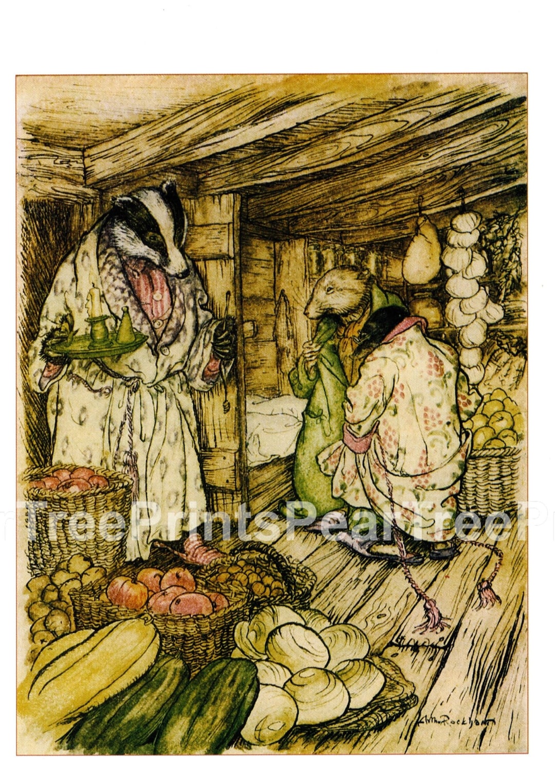 Arthur Rackham Vintage Print – the Wind in the Willows, Fairytale Art ...