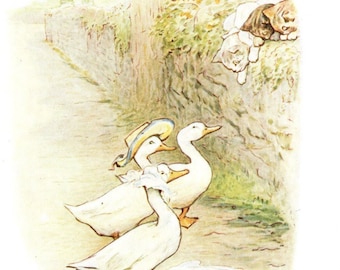1907 Beatrix Potter Original Antique 2-sided Print - The Tale of Tom Kitten - Whimsical Nursery Art - Woodland Animals - Unique Gift