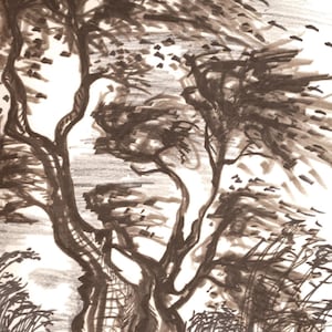 Ofer Feniger Original Drawing: Tree in the Wind, Israeli Modern Art (1960 Portfolio Plate)