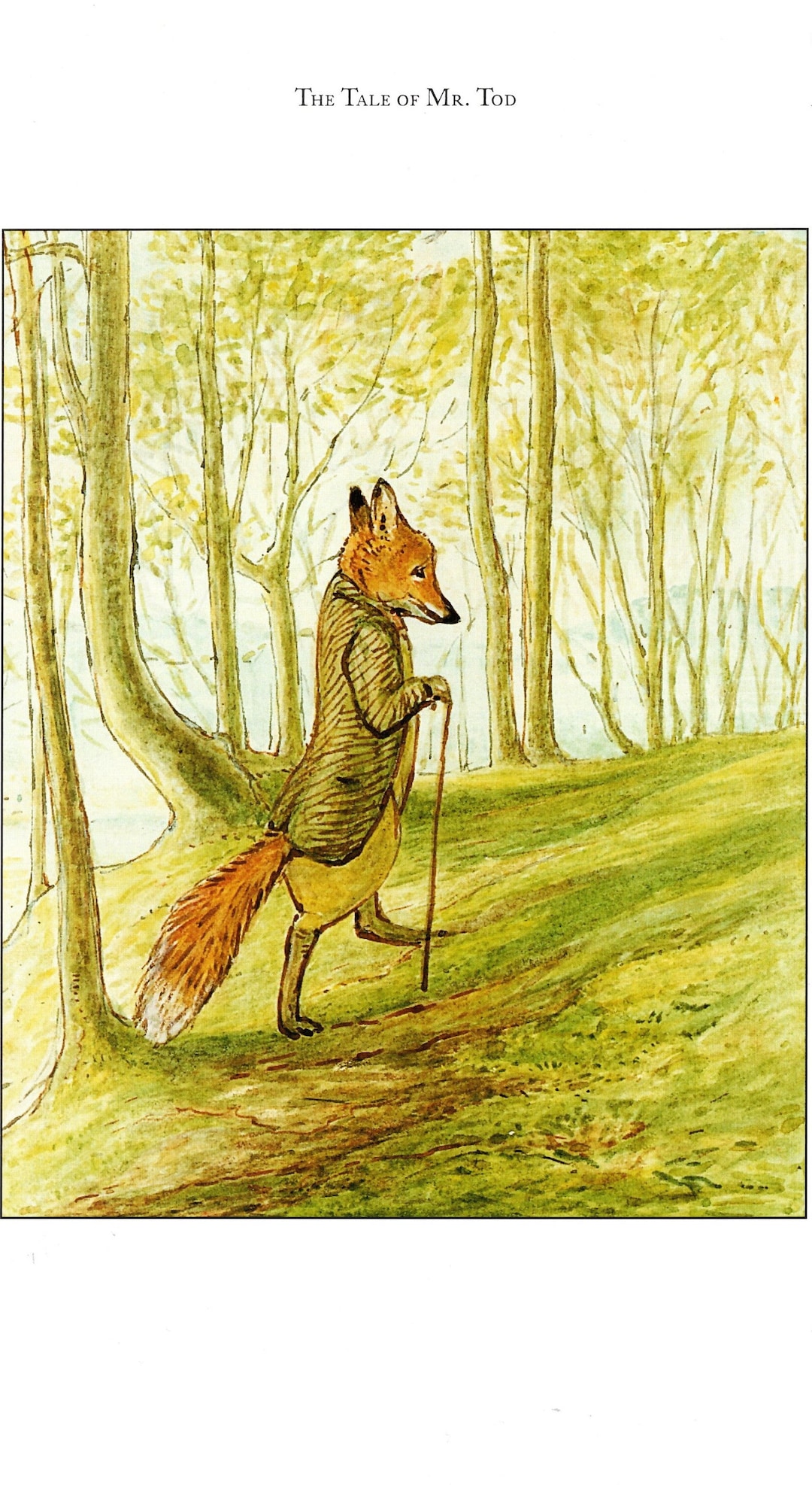 1982 Beatrix Potter Peter Rabbit Adventures - Original Large Vintage ...