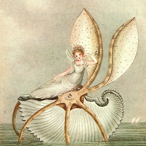 Victorian Fairies Original Print – Amelia Jane Murray - Regency Style Art – Flowers, Birds, Winged Insects - Natural History - Gift