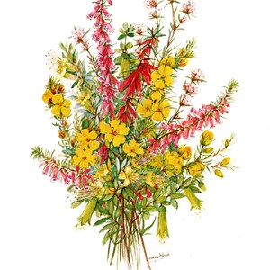 Può includere: Un dipinto ad acquerello di un mazzo di fiori selvatici. Il mazzo presenta fiori gialli, rossi e rosa con steli e foglie verdi. La firma dell'artista, "Dorey Wood", è visibile nell'angolo in basso a destra.