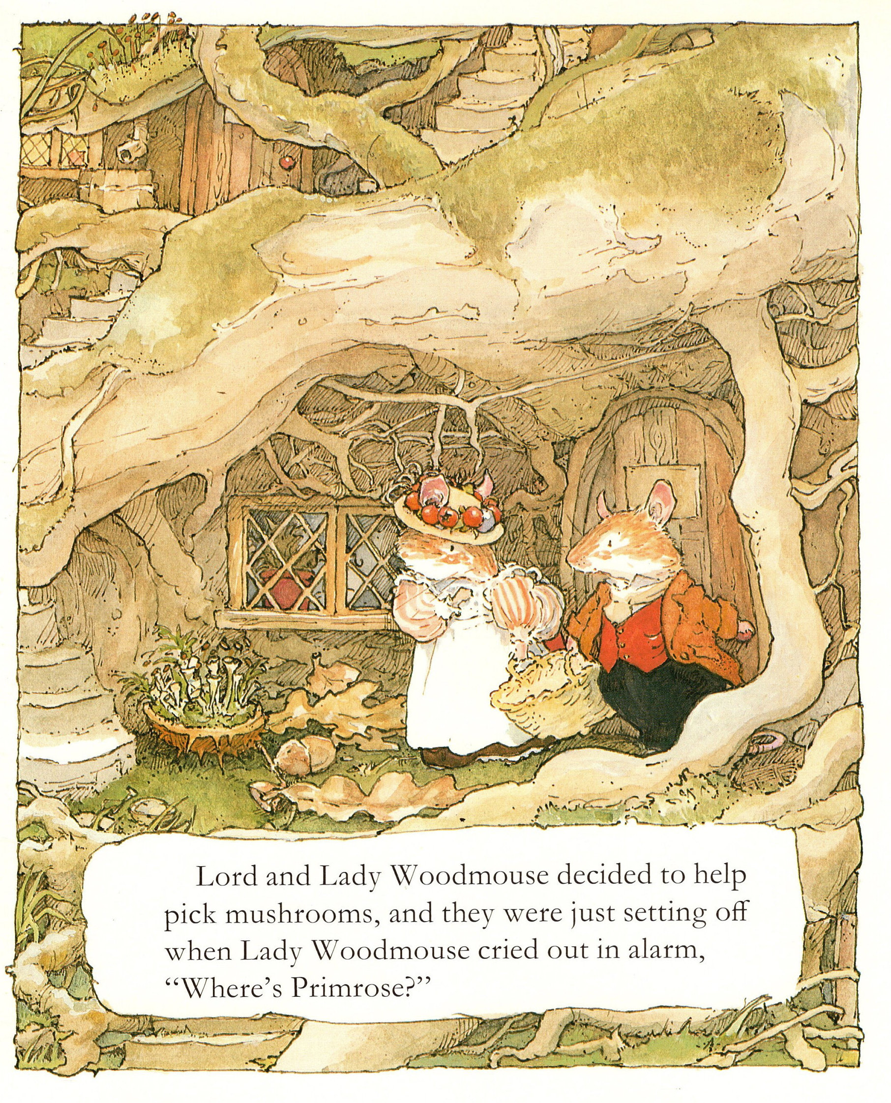 ブランブリーヘッジ WHERER'S PRIMROSE プレート Royal Doulton