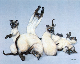 1989 Zoe Stokes Playful Cat Art – Original Vintage Print – Cat Lovers – Unique Gift (19)