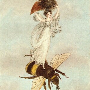 Victorian Fairies Original Print – Amelia Jane Murray - Regency Style Art – Flowers, Birds, Winged Insects - Natural History - Gift
