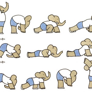 Funny Yoga Poses -  Australia