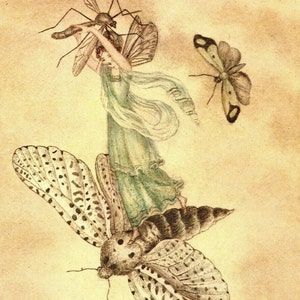 Victorian Fairies Original Print – Amelia Jane Murray - Regency Style Art – Flowers, Birds, Winged Insects - Natural History - Gift