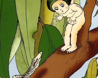 May Gibbs Gumnut Babies Vintage Print: Australian Bush Fairytale