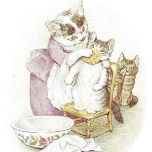 May include: A white and gray cat wearing a purple dress washes a white and gray kitten sitting on a wooden chair. A brown and gray cat watches from the background.