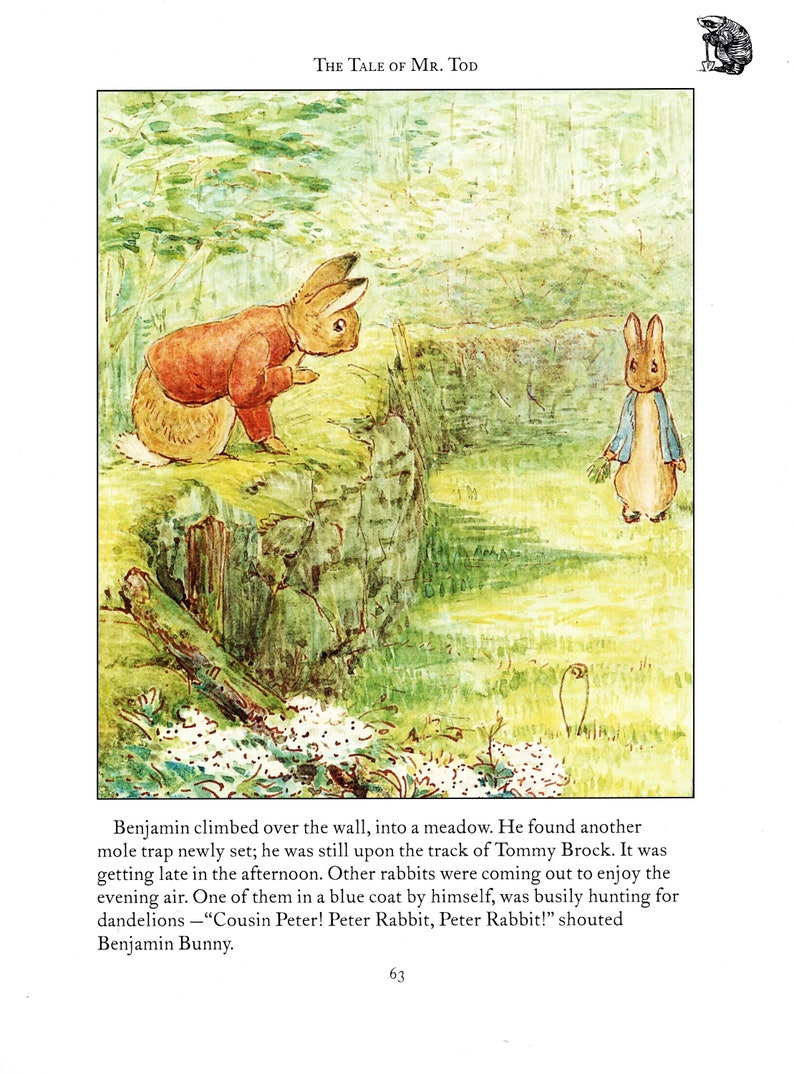 1982 Peter Rabbit Print – Vintage Nursery Art, Whimsical Animal ...
