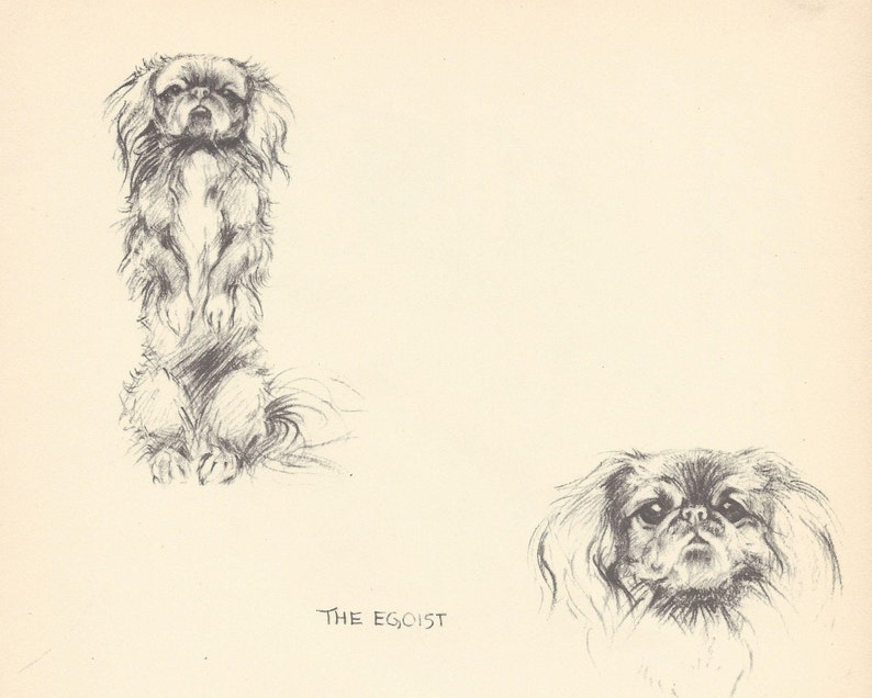 1935 KF Barker Original 2-sided Vintage Dog Print 25 Unique Gift for Dog Lovers