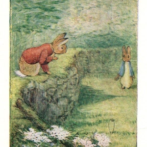 Puede incluir: Ilustración de dos conejos en un entorno verde. Un conejo, con una chaqueta roja, está posado en un muro de piedra. El otro conejo, con una chaqueta azul, está de pie en la hierba. La imagen tiene un estilo de cuento de hadas.
