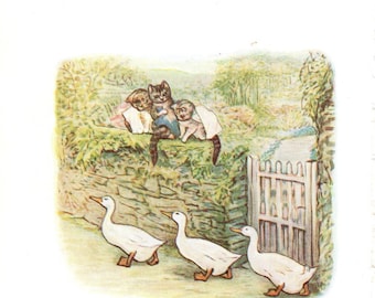 1907 Beatrix Potter Print: Tale of Tom Kitten, Whimsical Nursery Art