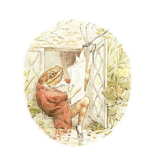 May include: An illustration of a frog-like creature in a red jacket and patterned pants, reading a book while sitting by a window. A dragonfly rests on the window frame. The artwork has a vintage, storybook style with soft colors and detailed linework.