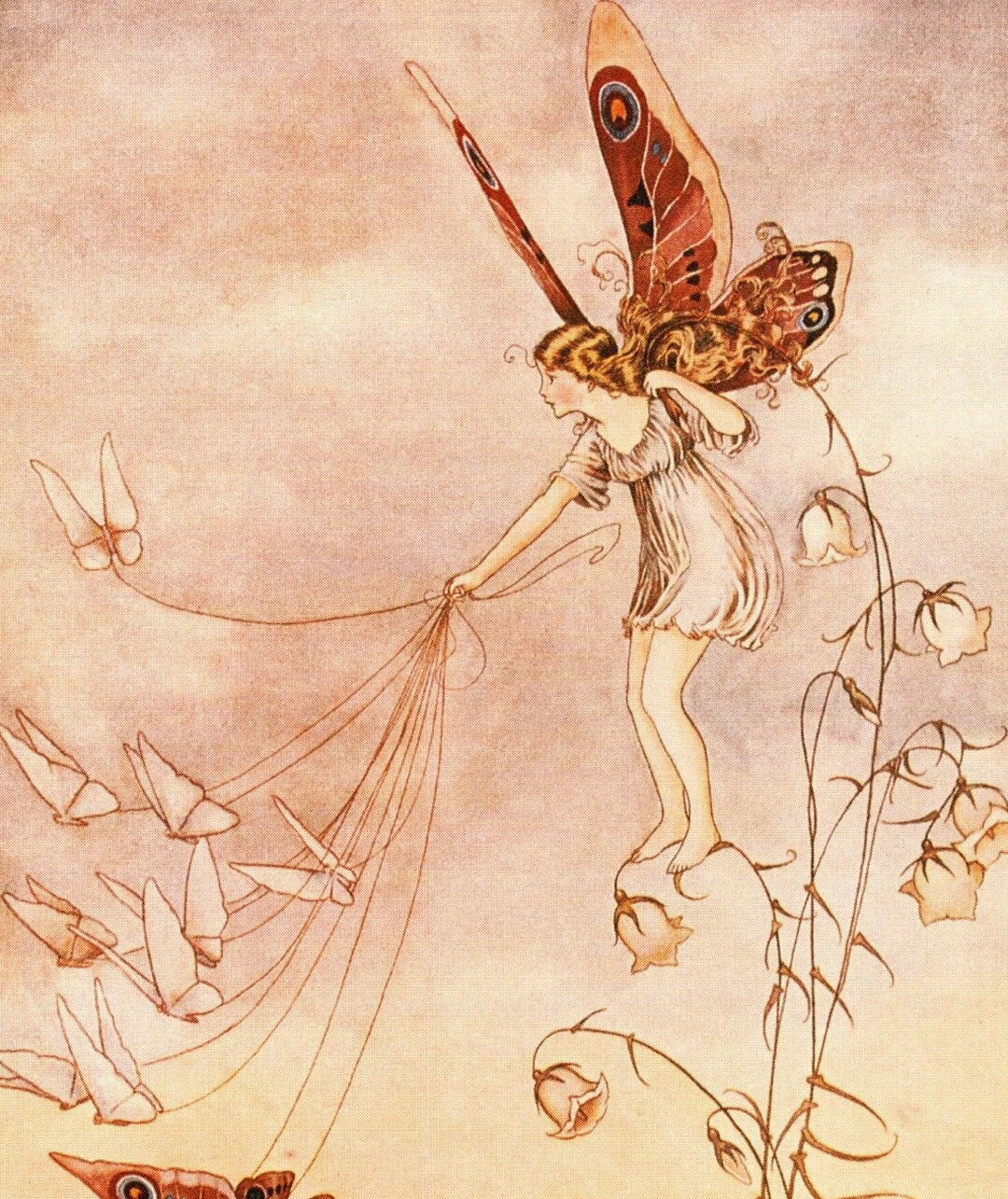 Patience Rentoul Ida Rentoul Outhwaite Vintage Fairy Print - Nursery Art - Etsy