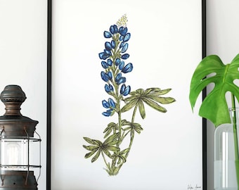 May include: A framed print of a watercolor illustration of a bluebonnet flower, a type of wildflower native to Texas. The print is displayed on a white shelf with a vintage lantern and two potted plants.