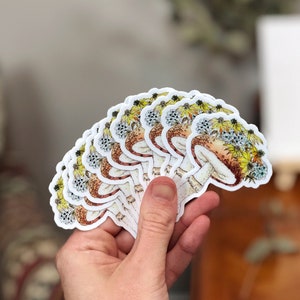 Mushroom Sticker, Vinyl Die Cut Sticker, Hand Painted Watercolor Mushroom Illustration Sticker, Unique Gift Idea