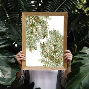 Fern Leaf Illustration, Watercolor Fern, Botanical Art Print, Plant Art, Botanical Wall Art, Fern Print, Watercolor Fern Painting