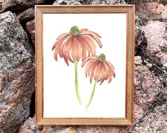 Watercolor Coneflowers, Watercolor Painting, Flower Art, Flower Wall Art, Coneflower, Wildflower Decor, Hand painted Wall Hanging, Print