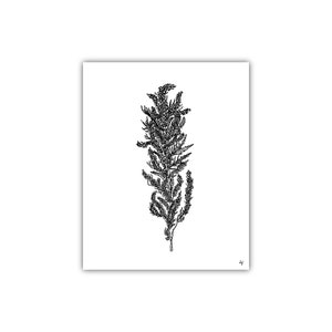 Flower Poster, Hand Drawn, Flower Art, Girls Room Art, Nursery Art, Kitchen Art, Minimal Print, Flower Illustration, Black Line Drawing, Ink
