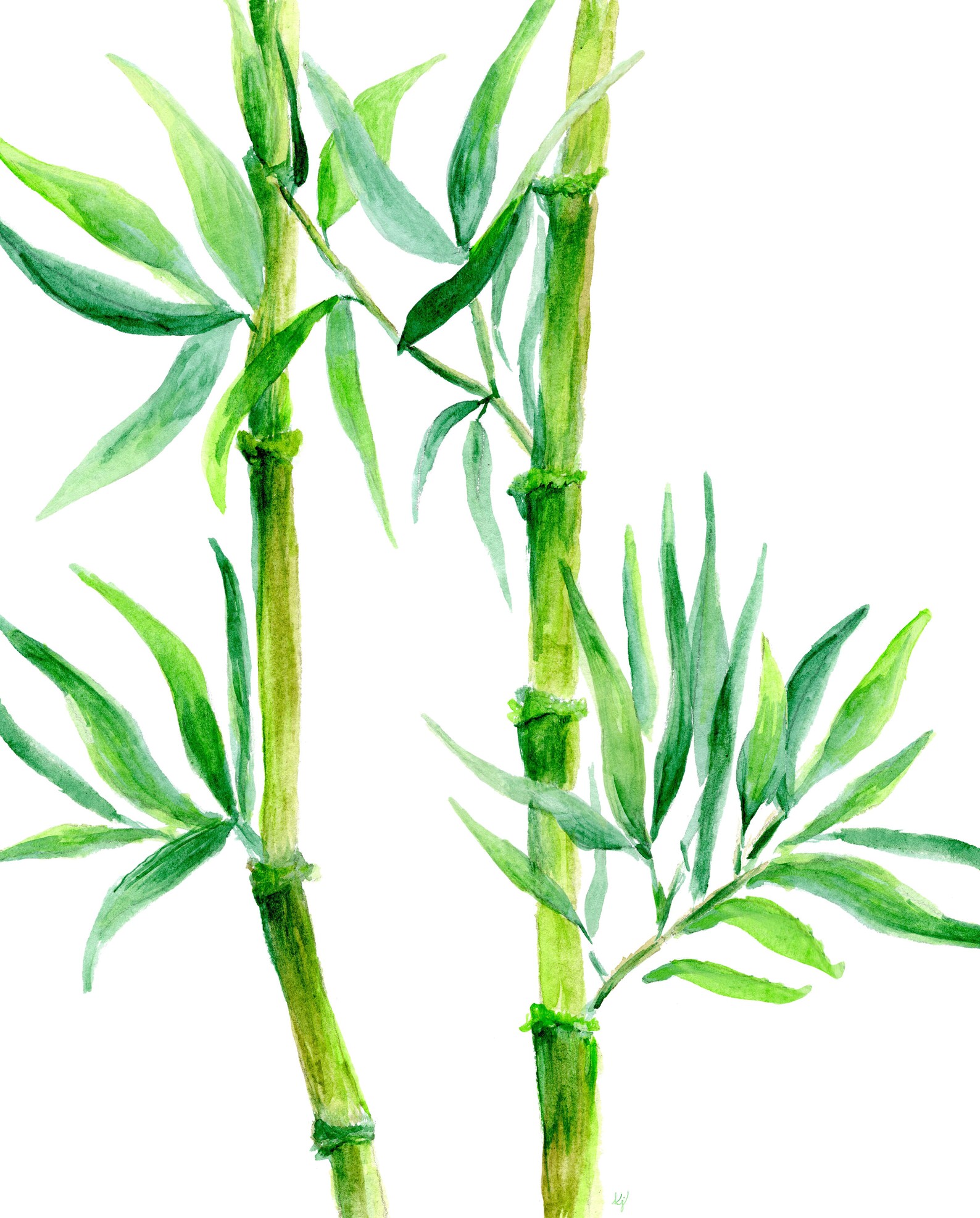 Watercolor Bamboo Art Print Hand Painted Bamboo Printed on Etsy Hong Kong