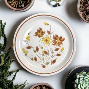 Vintage Camelot Stone Plates - Set of 2 Country Charm Dinner Plates - 10.75&quot; Dinner Plate Set Made in Japan - Unique Gift Idea