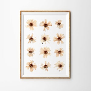Dried Botanical Daisies Art Print - Dried + Pressed Colorado Wild Daisies Printed on Linen Paper 5x7 8x10 11x14 - Unique Gift Idea