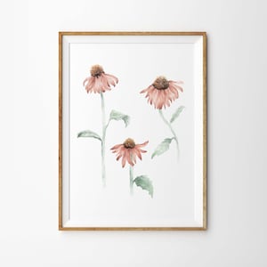 Watercolor Coneflowers Art Print - Mauve and Sage Coneflower Painting Printed on Linen Paper - 5x7 8x10 11x14 - Coneflower Wall Art