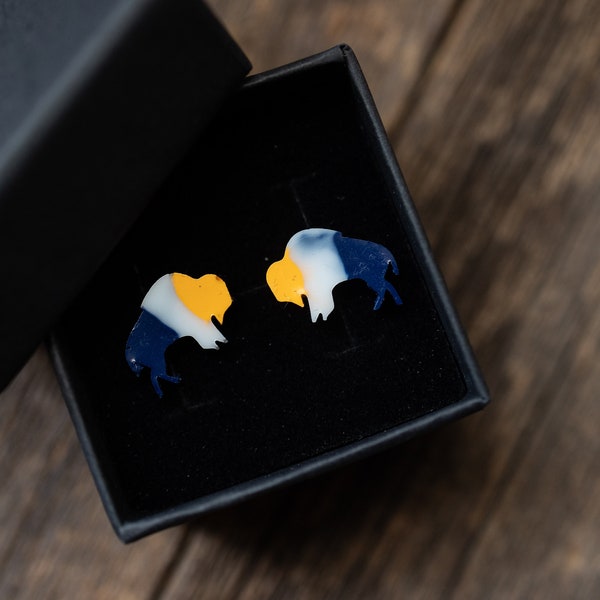 Buffalo Sabres Earrings