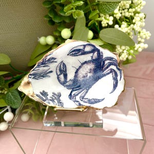 セントアイブス産ノーティカ産オイスターシェルリングディッシュ（ロブスター、カニ、魚、タコ、タツノオトシゴ）