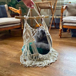 Op de afbeelding: Een handgemaakte macramé kattenhangmat in crème kleur, opgehangen aan een houten deuvel. De hangmat heeft een geweven ontwerp en een groen kussen, dat een gezellige ruimte biedt voor een grijze kat om te ontspannen. De kat zit in de hangmat.