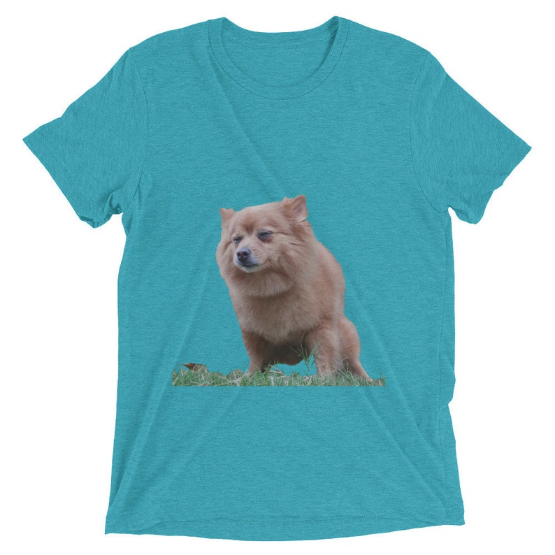 funny dog owner shirts