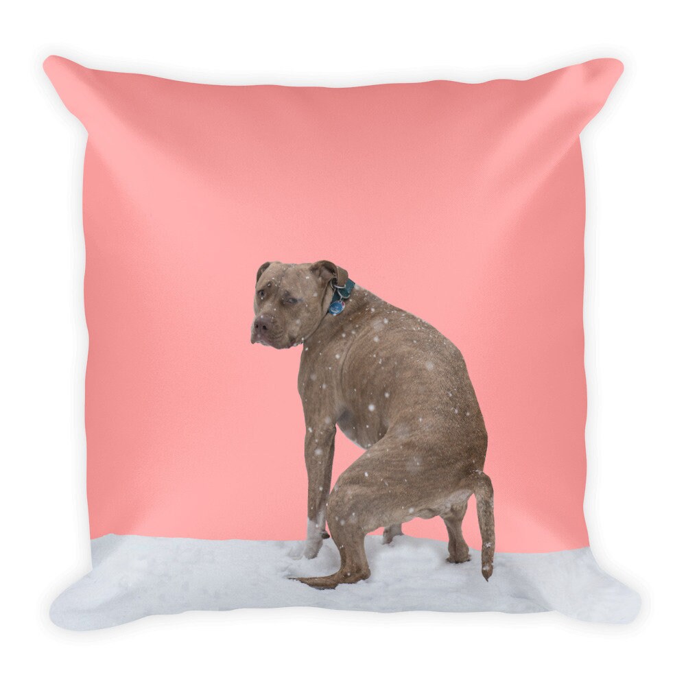 Dog Pooping Throw Pillow Hercules in the Snow Etsy