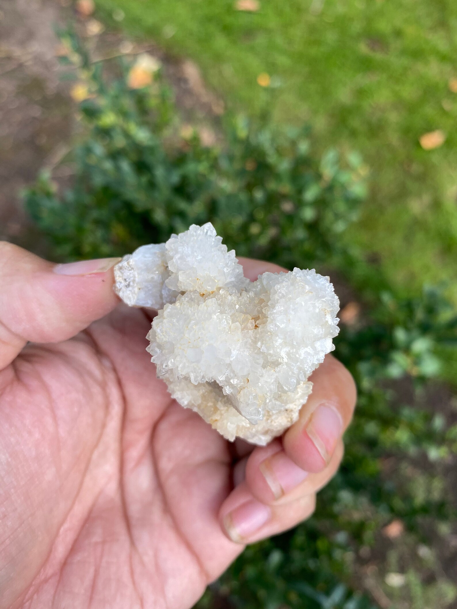 Oregon Quartz Druzy Cluster Quartz Crystals Druzy Crystals Etsy